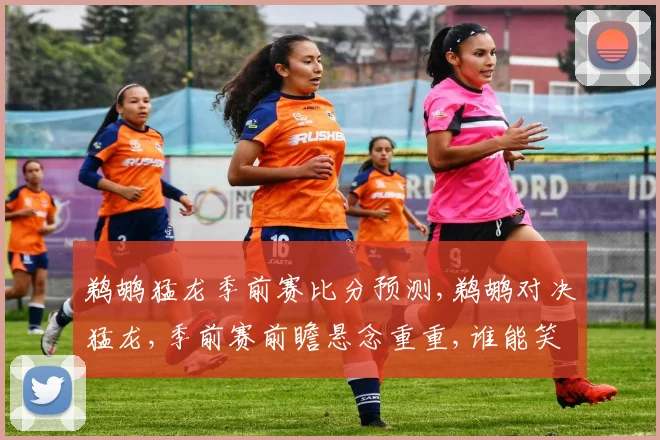 鹈鹕猛龙季前赛比分预测,鹈鹕对决猛龙,季前赛前瞻悬念重重,谁能笑到最后
