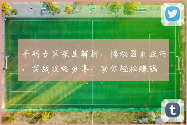 平码专区深度解析，揭秘盈利技巧，实战攻略分享，助你轻松赚钱