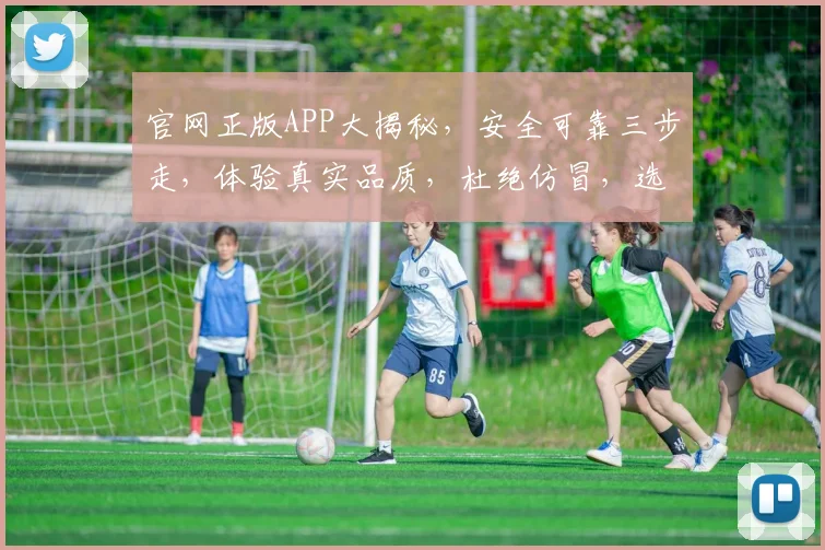 官网正版APP大揭秘，安全可靠三步走，体验真实品质，杜绝仿冒，选择明智