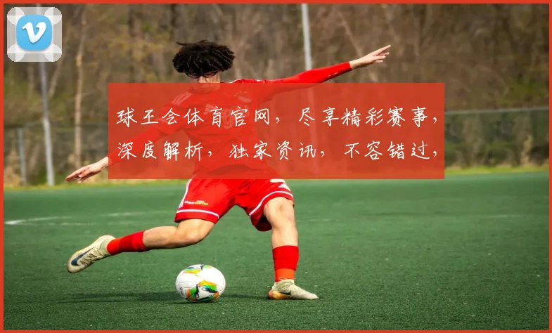 球王会体育官网，尽享精彩赛事，深度解析，独家资讯，不容错过，两大战术分析